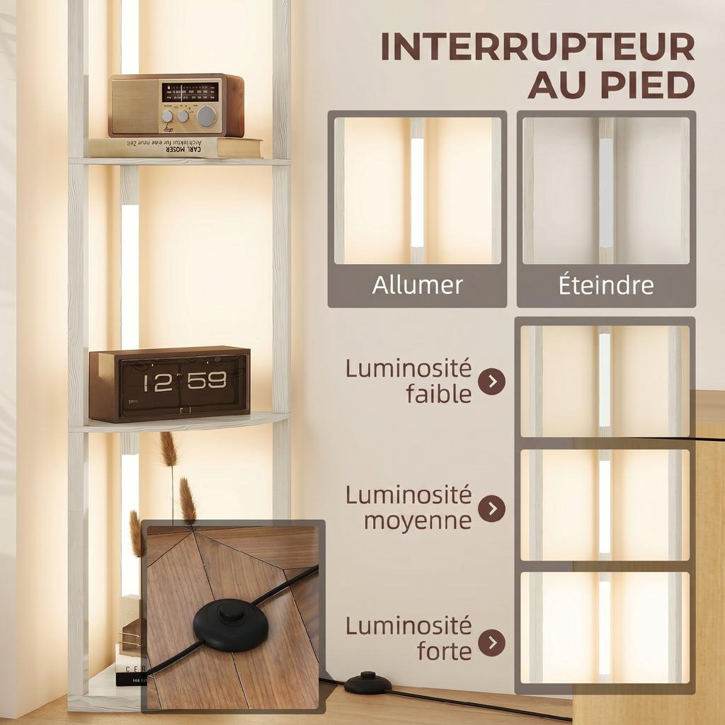 Floor Lamp, 4-Tier Corner Shelves, Dimmable LED, 41 x 29.5 x 163.5 cm, Oak