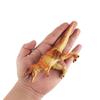 Simulation Animal Dinosaur Model Stegosaurus Hadrosaur Tyrannosaurus Figures Cognitive Educational Puzzle Toys Christmas Gifts