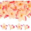 10-Pack Artificial Plumeria Flowers, Fake Silk Heads Flower Hawaiian Plumeria Petal for DIY Crafts/Dress/Wedding/Party Decoration [Champagne+Red,
