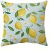 Short plush material pillowcaseLemon  themed Home Blessing Pillow CoversLiving room sofa cushion cover soft and comfortable b