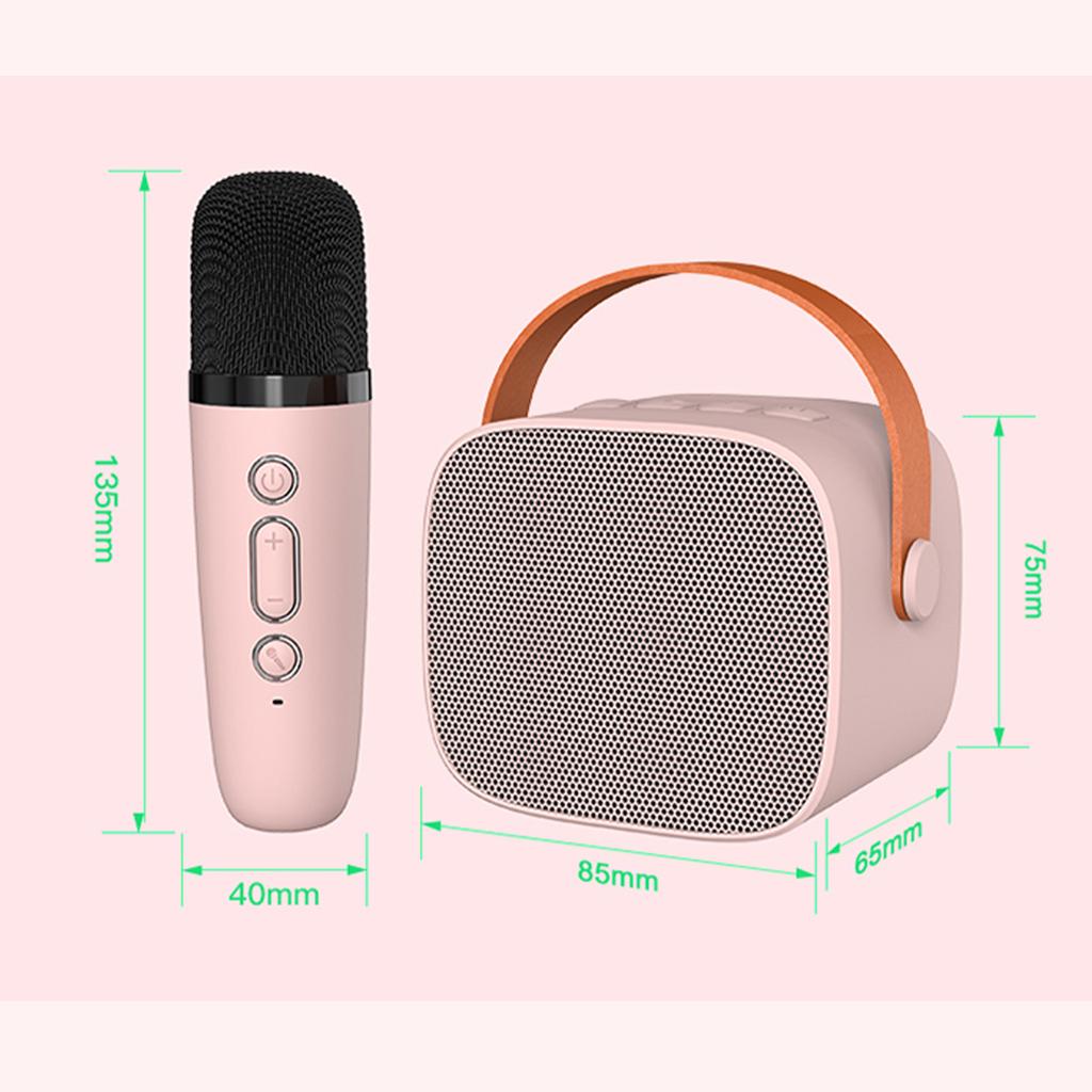 Mini máquina de karaokê BT alto-falante de karaokê com microfones sem fio para adultos e crianças festa em casa
