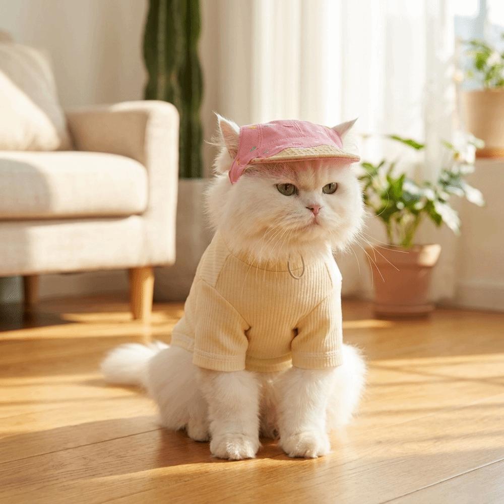Ice Cream Pattern Dog Fisherman Hat Sun Protection Dog Visor Hat Pet Sun Hat  Dogs Cats