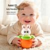 Baby Toddler Toys: Rabbit Carrot Roly-Poly Soothing and Educational Chew Toy
