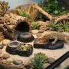 Imitation Stone Resin Rock Feeder Dish Wear Resistant Anti-knock Reptile Food Bowl with Bowls Wide Mouth Pet Feeder Ledge