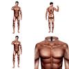 Euro Fantasy Herren Bodybuilding Kostüm mit Polyester Spandex für Tanzshows