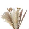 30-Piece Handpicked Dried Grass Bundle - Decor Collection