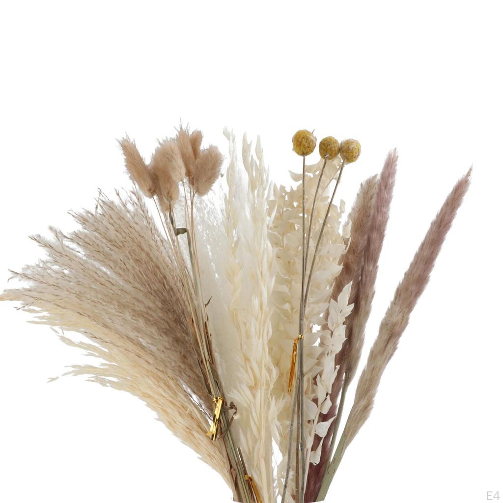 30-Piece Handpicked Dried Grass Bundle - Decor Collection