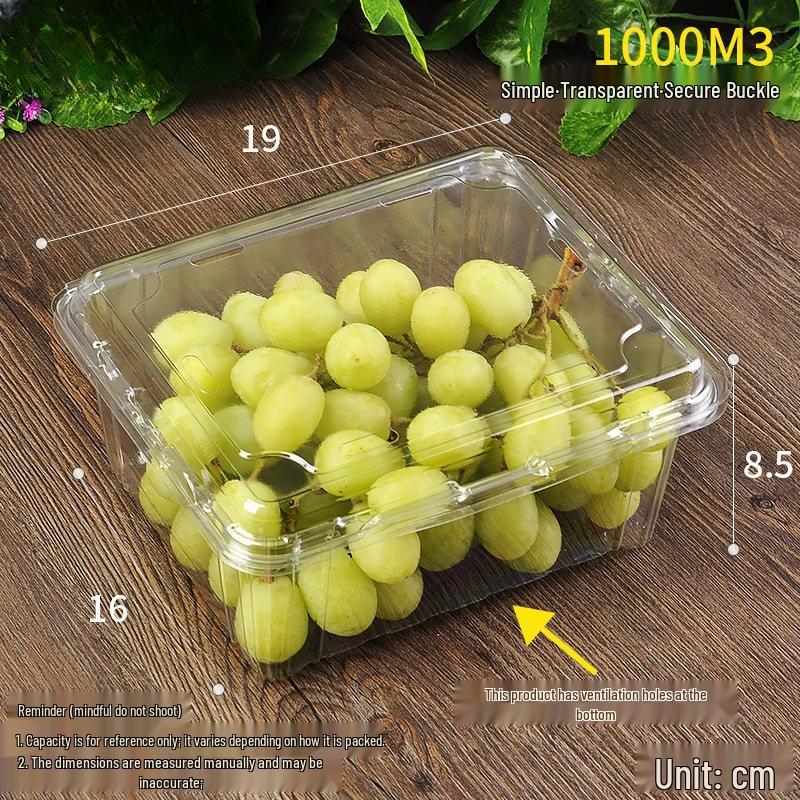 Handon Disposable Round Fruit Container