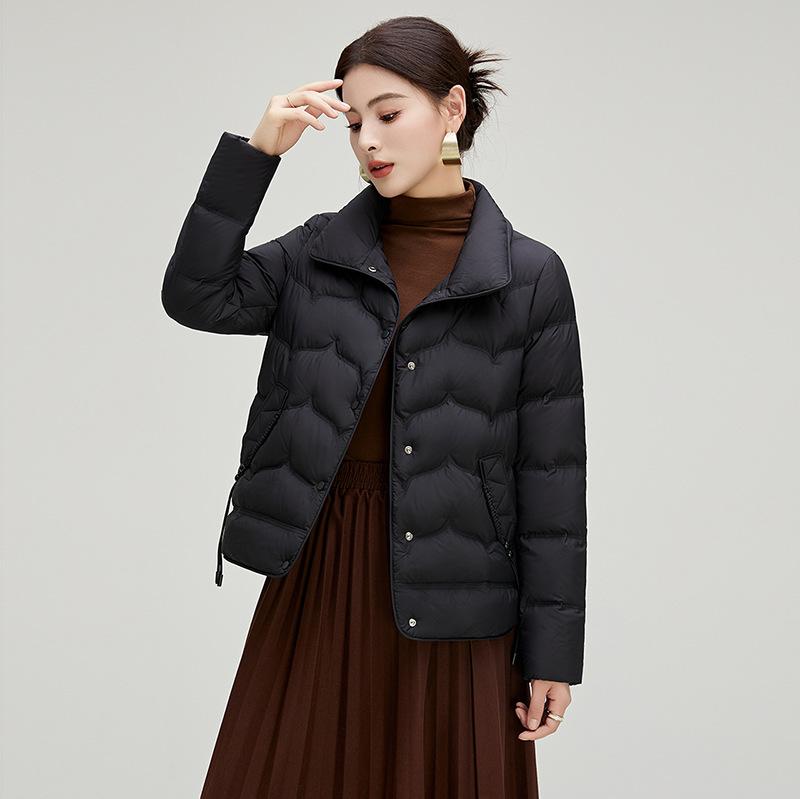 Retro Literary and Ethnic Style Short Down Jacket Women's Winter Fashion Stand-up Collar Warm Small Light Jacket