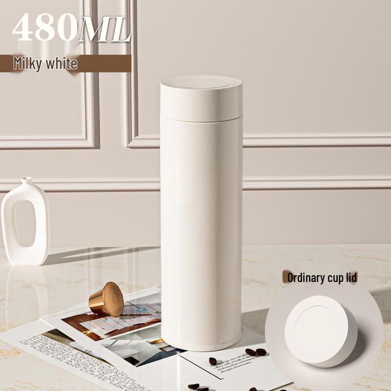 WQ 316 Stainless Steel Portable Insulated Water Bottle, 480ML 480ML