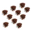 10pcs Bird Bite Pine Cones Natural Pine Cone Chewing Bird Toy for Parakeet Cockatiel Conure Finch Budgie Macaw