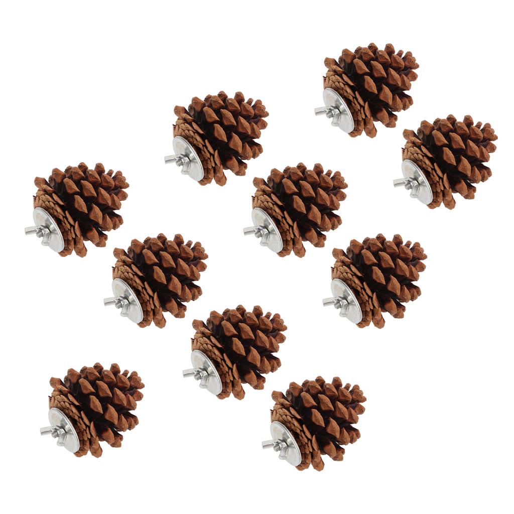 10pcs Bird Bite Pine Cones Natural Pine Cone Chewing Bird Toy for Parakeet Cockatiel Conure Finch Budgie Macaw