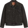 Демисезонная куртка Levi's Herren The Trucker Jacket Man blow away