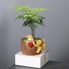 Cartoon Animal Cute Rabbit Gardening Succulent Flower Pot Plant Micro Landscape Green Plant Wenzhu Resin Pot Ornament