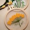 Transparent Yarn Embroidery DIY Kit: Lu Embroidery Hanging Design for Beginners
