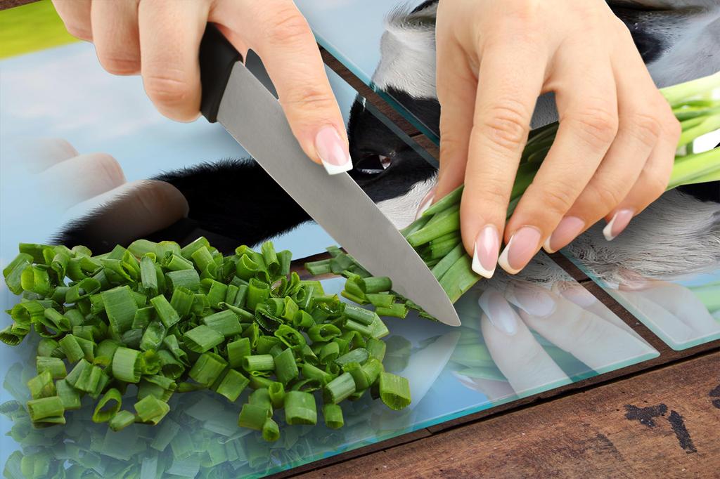 PLAQUE DE PROTECTION EN VERRE POUR PLAQUE DE CUISSON 70x52 VACHE