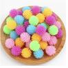 TPR Bayberry Ball Hedgehog Multi Color Mini Massage Ball Foot Massage Ball Airout Yoga Stress Soft Squeezing Plush Toy