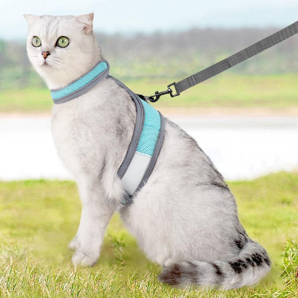 Vest-Style Cat and Dog Harness with Leash - Small Pet Walking Gear