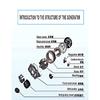 Generatore Magnetico Permanente 2KW 3KW Alternatore CC 12V 24V Generatore ad Alta Potenza in Rame Puro Dinamo Magnetica Per Veicoli
