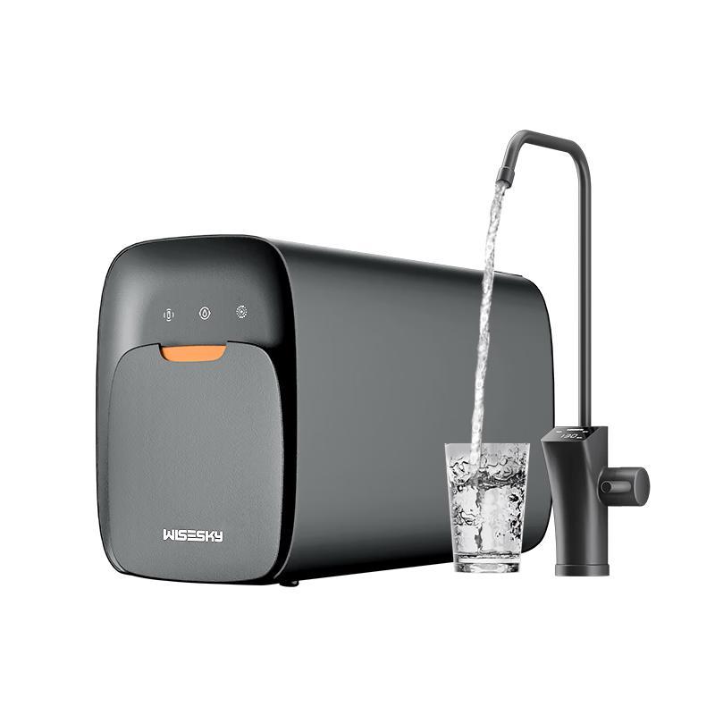 WISESKY 1000G Under-Sink RO Water Purifier CN plug (adapter included)