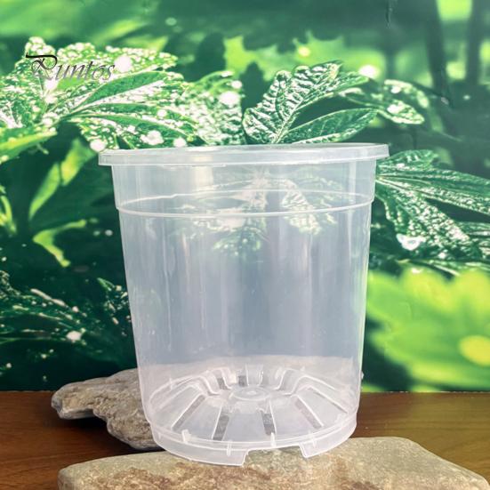 Breathable Plant Pots for Rootlets Clear Plastic Orchid Pot with Saucer, Drainage Holes, Ventilated Flower Rose, Phalaenopsis, Seedings Containers