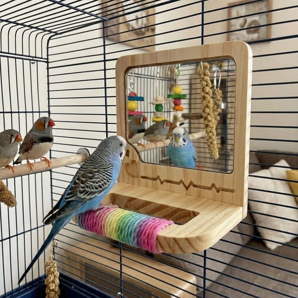 Anti-slip Wood Bird Training Stand Interactive Parrot Biting Rod Bird Cage Accessories