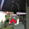 Quadratisches Glasgefäß Kolibri-Futterspender Wildvogel-Tränke für Außenbereich Garten Hof Hängende Vogelfutterspender mit Roten Blumen