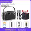 Shanshui Z5 Portable KTV Bluetooth Speaker