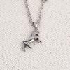 Heipeul Surgical Steel Necklace (Sgc-N-167)