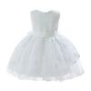 Little Girls Black Hollow Lace Mesh Sleeveless Princess Party Dress