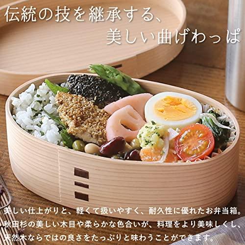 Akita Odate Ryobian Unpainted Magewappa Koban Bento 480ml (Small)