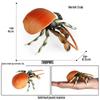 Ocean Crab Simulation Toy Set: Includes Hermit, Swimming, and Three-Spot Plastic Models