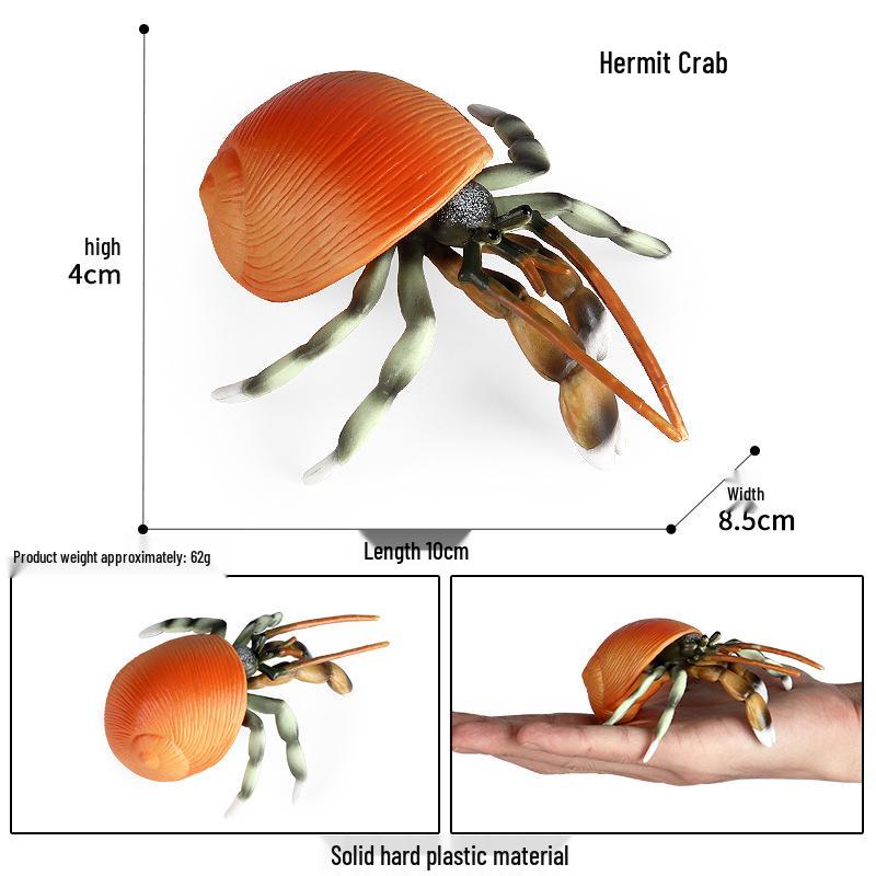 Children s Hermit Crab Marine Animal Model Toy Ornament