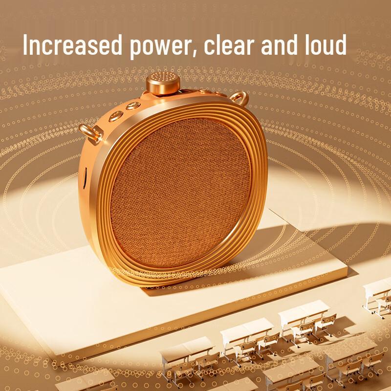 Deli LT941J Wireless Teacher Amplifier (CN version)