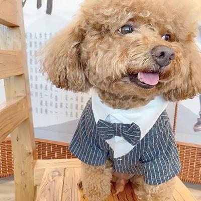 Herr Hunde Kleidung Hochzeitsanzug Formelles Hemd Für Kleine Hunde Fliege Smoking Haustier Outfit Halloween Weihnachten Kostüm Für Katzen