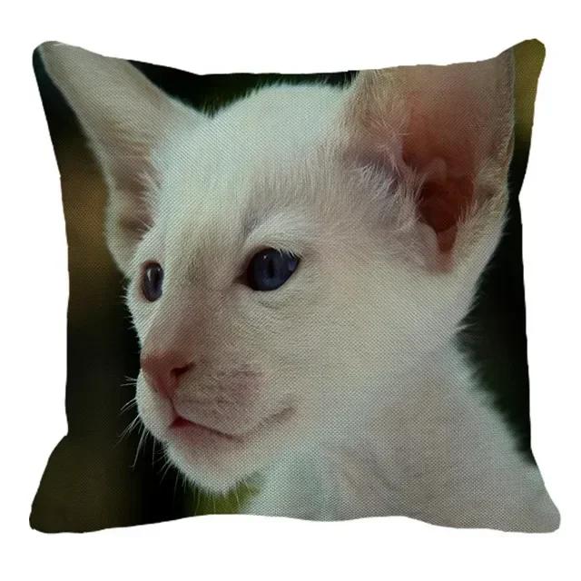 Thailand Cat Theme Pattern Double-Sided Printed Pillow Cover Short Plush Suitable Living Rooms Bedrooms Sofa Throw Cushion Cover