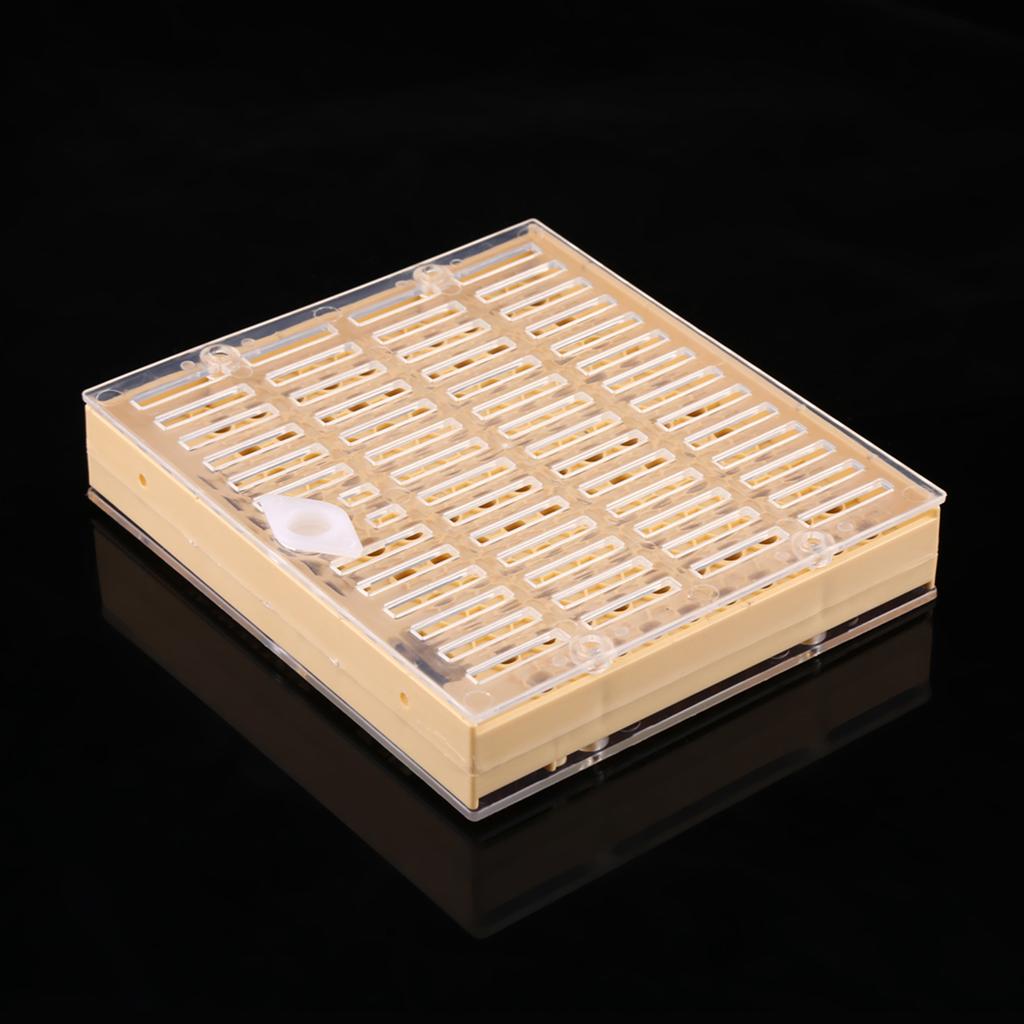 Beekeeping Queen Rearing Cups Box Cell Bar Blocks Caps Hair Roller Cages Bee Keeper Equipment