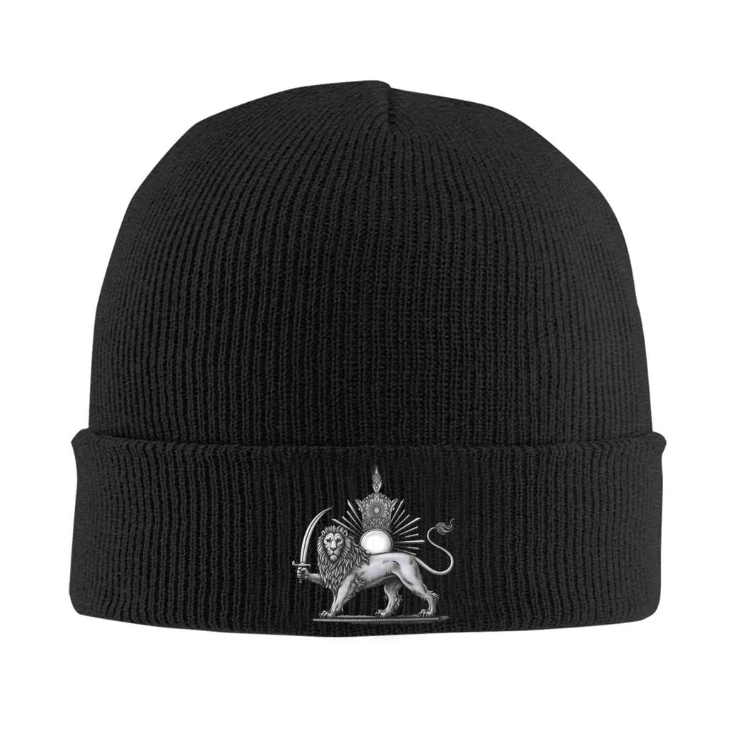 Lion and Sun of Flag Emblem Knitted Caps Women's Men's Beanie Autumn Winter Hats Acrylic  Warm Caps