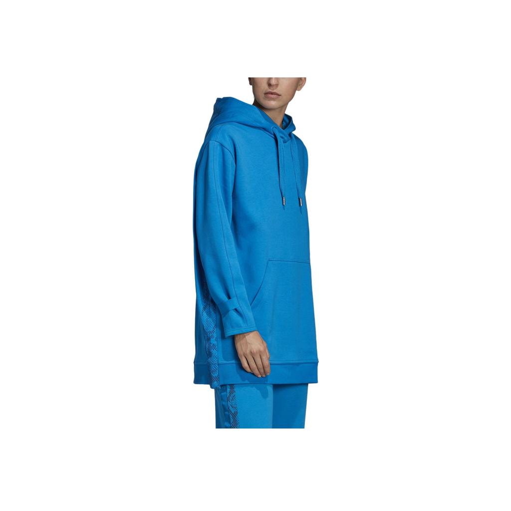 Adidas Casual Solid Color Hooded Long Sleeve Sweatshirt Women Sweatshirt Blue DT9221