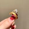 Brushed Full Zircon Leopard Head Rings for Women Light Luxury Charm High-end Retro Luxury Exquisite Zircon Gift