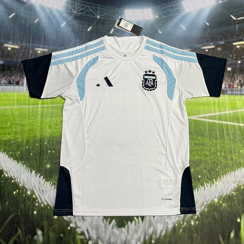 26 World Cup Argentina Fan Edition Home No. 10 Football Jersey