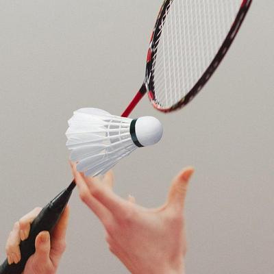 Pallina da Badminton Alta Velocità Professionale Piuma Volano Per Interni Professionale Alta Stabilità Volano Bianco Per Racchetta da Spiaggia