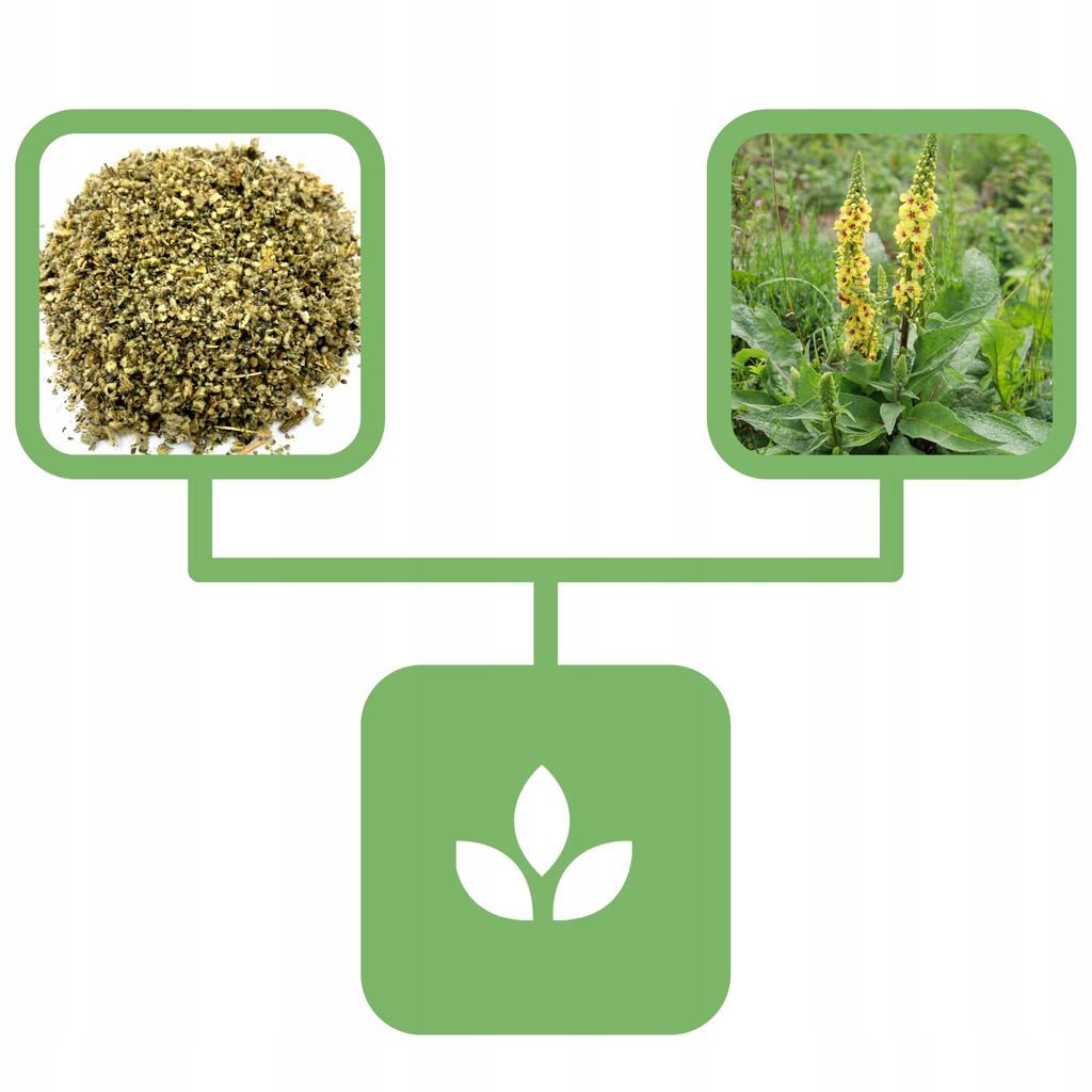 Mullein Mullein Herb 1 Kg Natural Shop