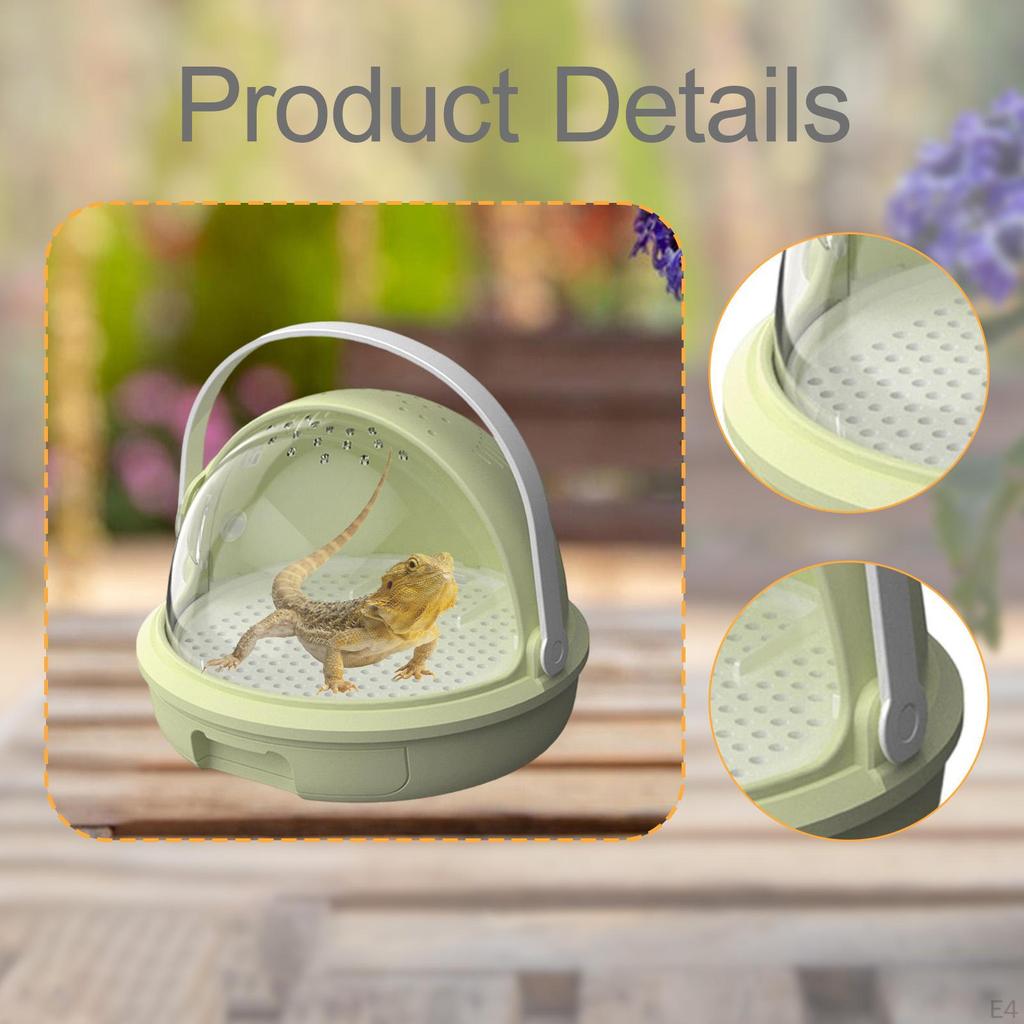 Feeding Box for Reptiles, Terrarium, Gift Idea, Versatile, Easy to Clean, Display