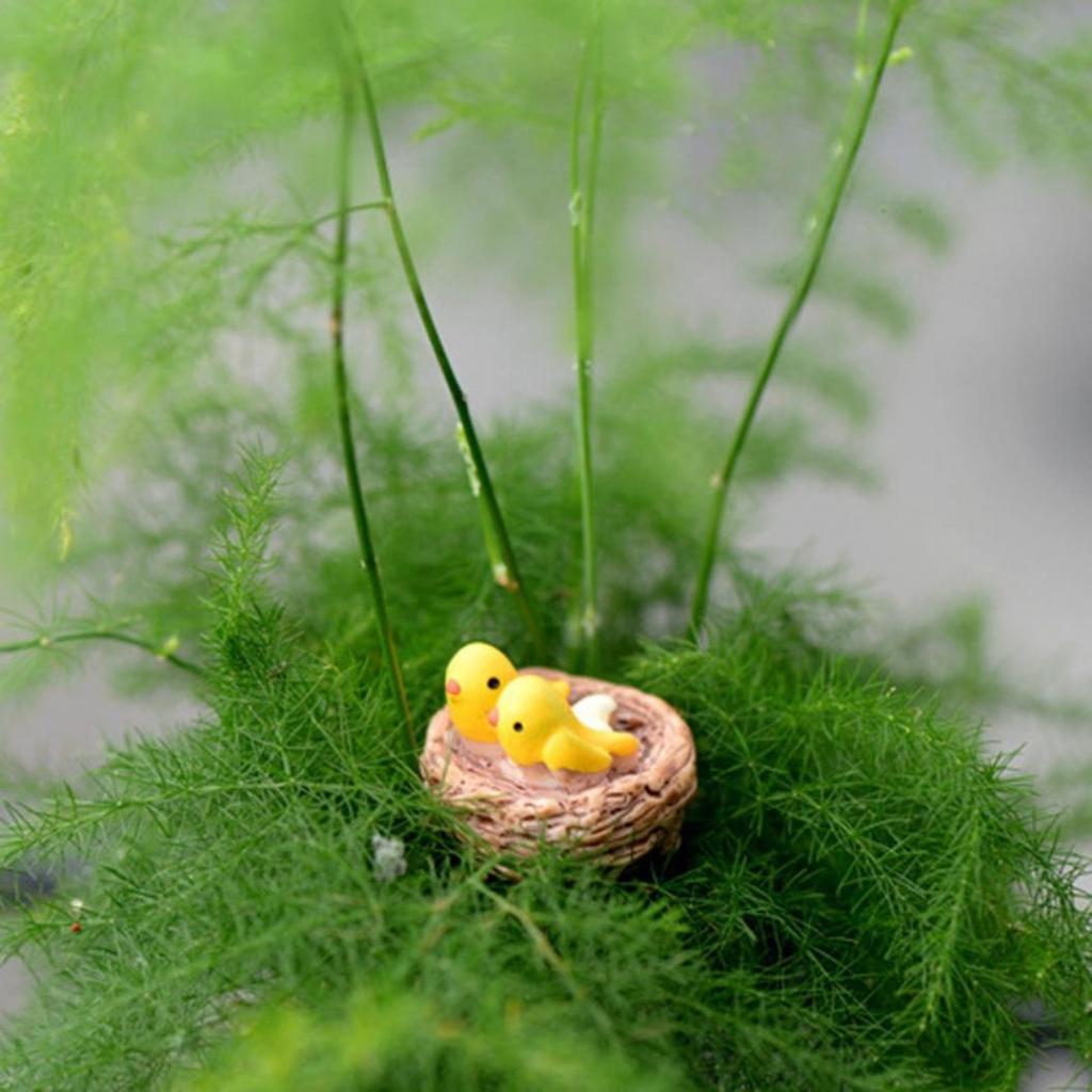 Miniature Birds Micro Landscape Bonsai Succulent Plants Mini Garden DIY Decor