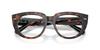 Sunglasses 0RX5586 DARK HAVANA ON MULTICOLOR 48 [Ray-Ban]