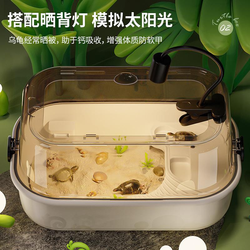 Eco Turtle Habitat with Sun Terrace & Climbing Platform for Home Use