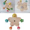 Pet Budgies Cage Feeder Toy for Multiple Birds Rotating Training Colorful Wheel for Small Size Birds for Cage Decoration