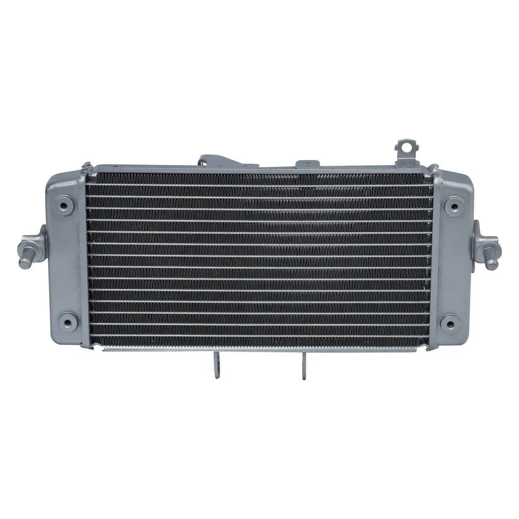 Radiator Cooler W/ Fan For Suzuki GW250 2012-2020 2019 GSX250R Motorcycle Acsessories Accessory