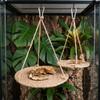 Hanging Design Reptile Hammock Natural Woven Bearded Dragon Lounger Terrarium Decor  For Reptiles